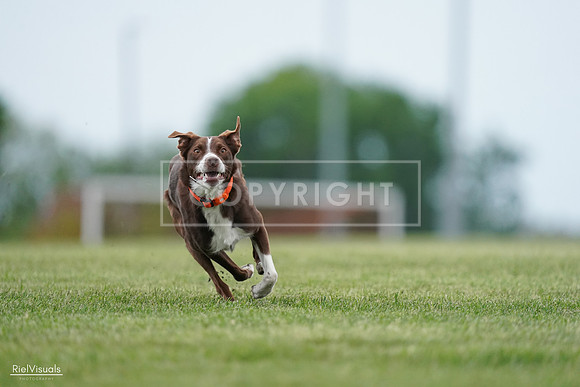 RielVisuals_20240525_162546_SJR04420