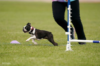 RielVisuals_20240527_142618_SJR02710