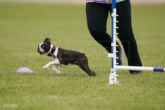 RielVisuals_20240527_142618_SJR02710