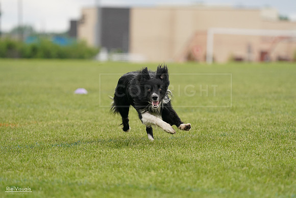 RielVisuals_20240527_131942_SJR09405