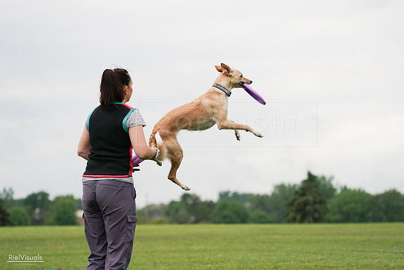 RielVisuals_20240527_110749_SJR03105