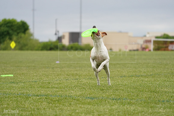 RielVisuals_20240526_134103_SJR08684