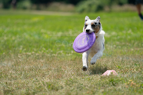 RielVisuals_20240728_130611_SJR05087