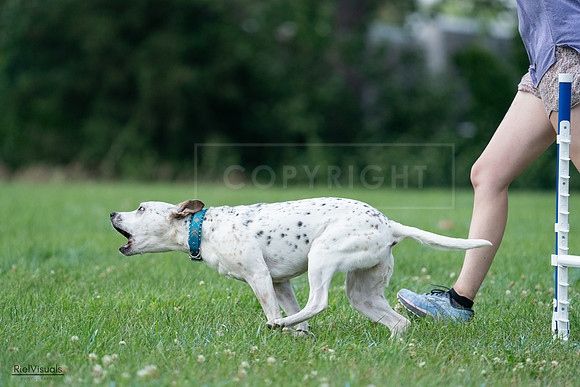 RielVisuals_20240727_145113_SJR01358