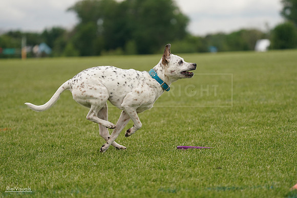 RielVisuals_20240526_134304_SJR08861