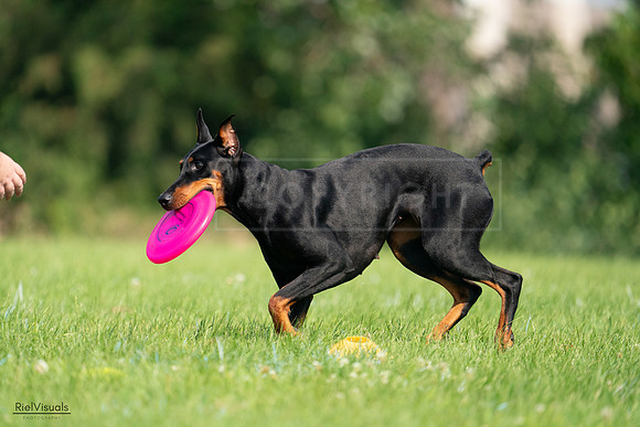 RielVisuals_20240727_100457_SJR08468