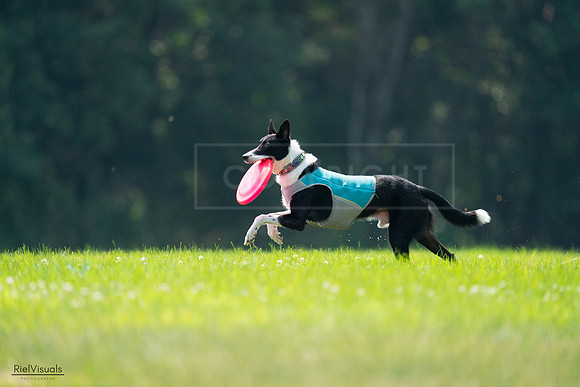 RielVisuals_20240727_120353_SJR04634