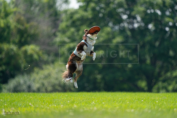 RielVisuals_20240727_130400_SJR06720