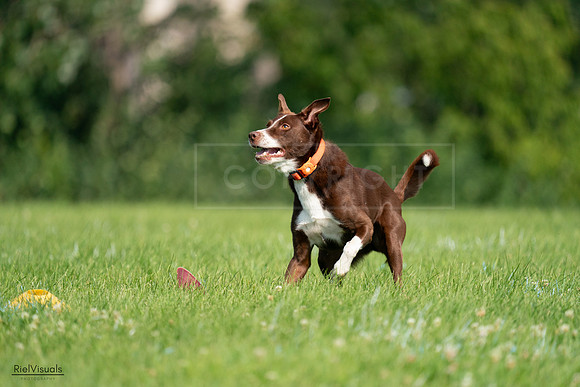 RielVisuals_20240727_100710_SJR08594