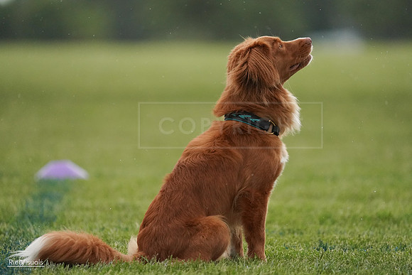 RielVisuals_20240526_093037_SJR00223
