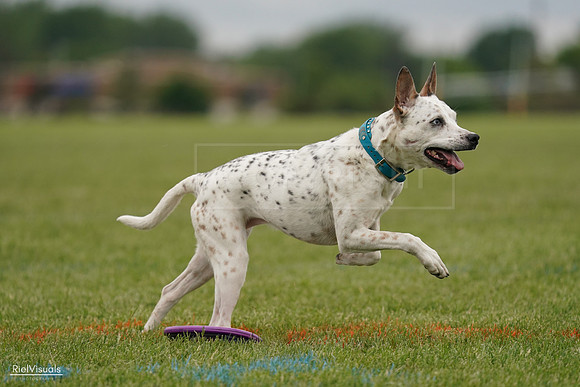 RielVisuals_20240526_134238_SJR08807