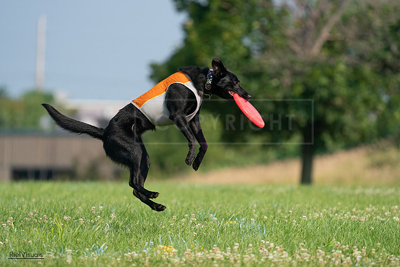 RielVisuals_20240727_093328_SJR06796