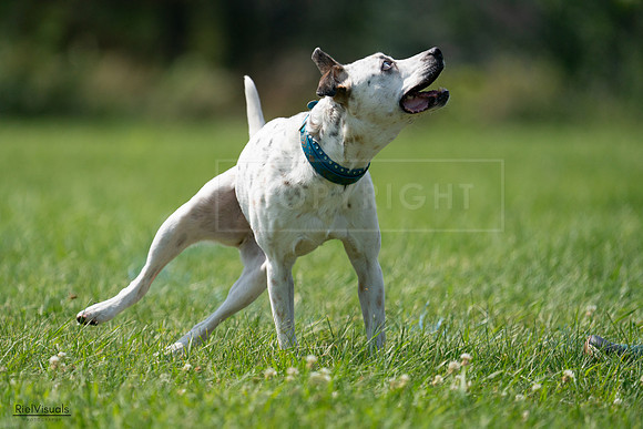 RielVisuals_20240728_144209_SJR08937