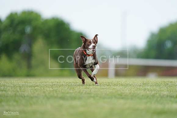 RielVisuals_20240525_162545_SJR04410