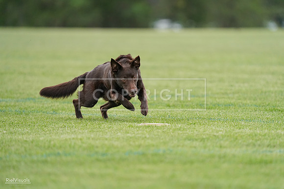 RielVisuals_20240525_162109_SJR04227