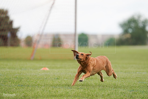 RielVisuals_20240527_141101_SJR01754