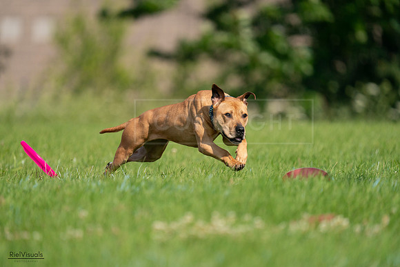 RielVisuals_20240727_093057_SJR06590