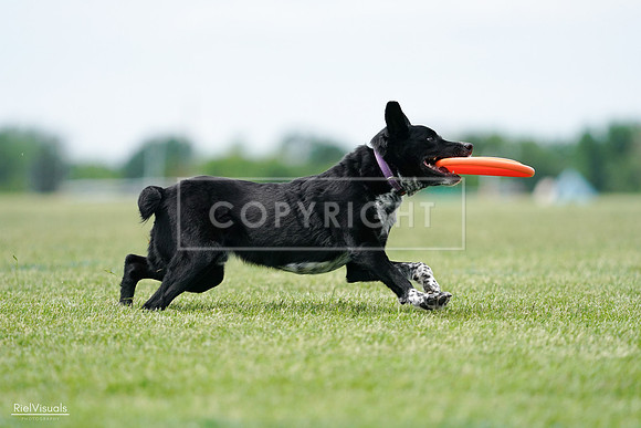 RielVisuals_20240525_124910_SJR01250