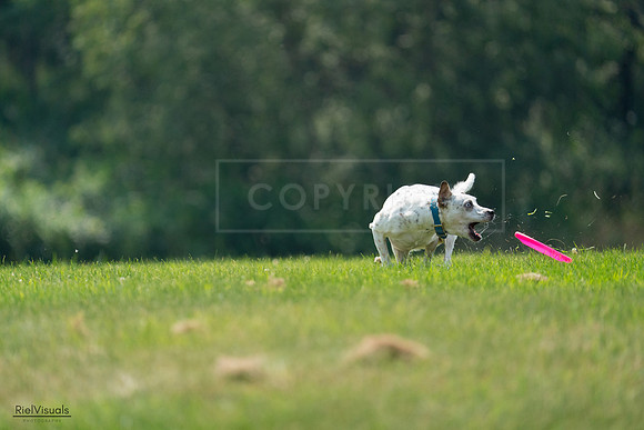 RielVisuals_20240727_120930_SJR04844