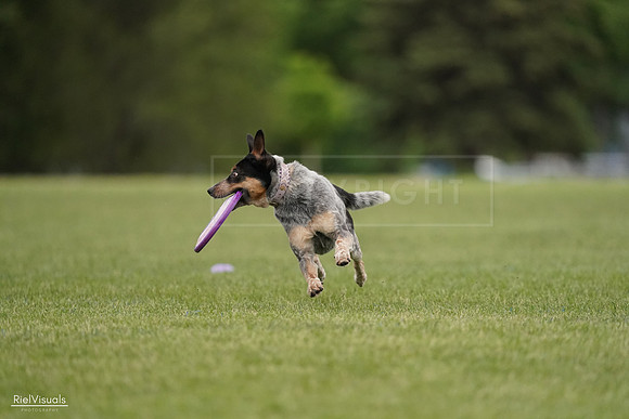 RielVisuals_20240526_132151_SJR07580