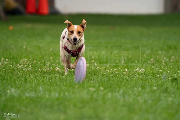 RielVisuals_20240722_193733_SJR01581