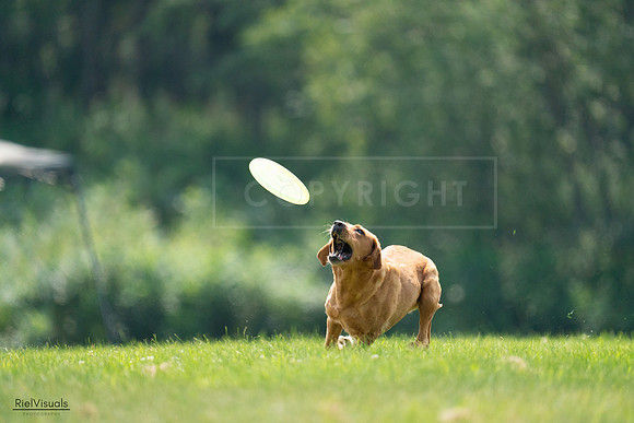 RielVisuals_20240727_122424_SJR05481