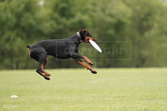 RielVisuals_20240527_134142_SJR00950