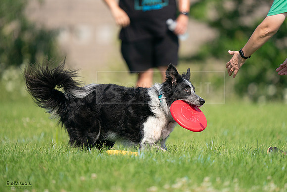 RielVisuals_20240727_100058_SJR08270