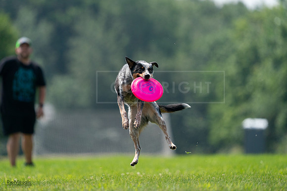 RielVisuals_20240727_120240_SJR04593