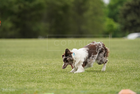 RielVisuals_20240526_133004_SJR08019