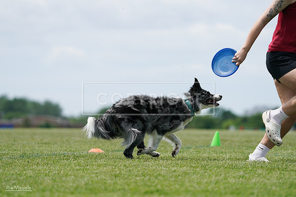 RielVisuals_20240525_124434_SJR01113