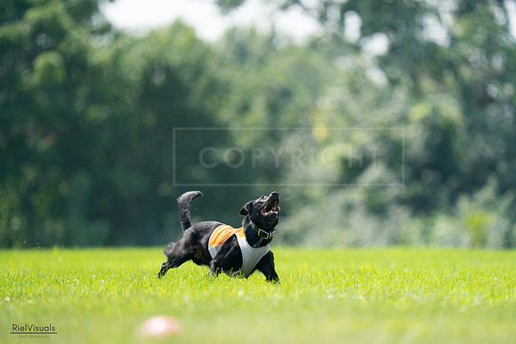RielVisuals_20240727_130519_SJR06789