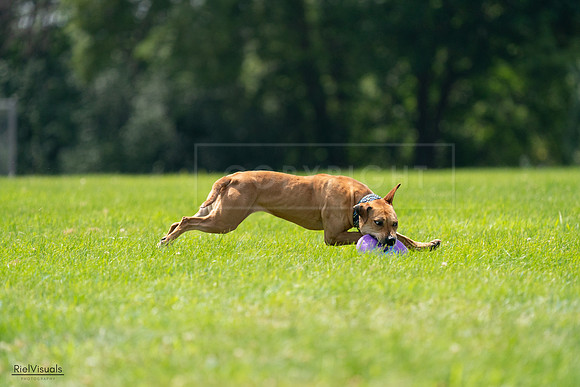 RielVisuals_20240728_135400_SJR07431