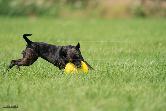 RielVisuals_20240728_103837_SJR08756