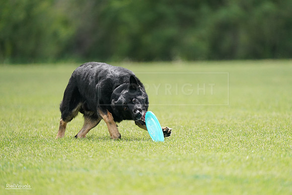 RielVisuals_20240527_141302_SJR02010