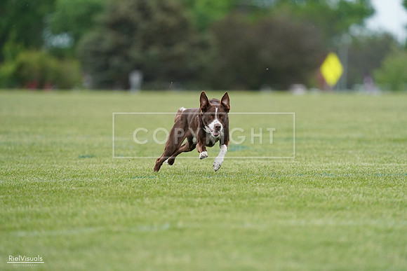 RielVisuals_20240525_162515_SJR04341