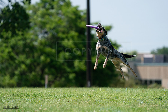 RielVisuals_20240728_145227_SJR09442