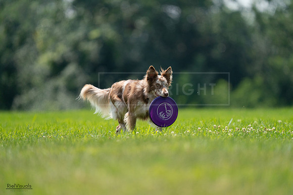 RielVisuals_20240727_131247_SJR07210