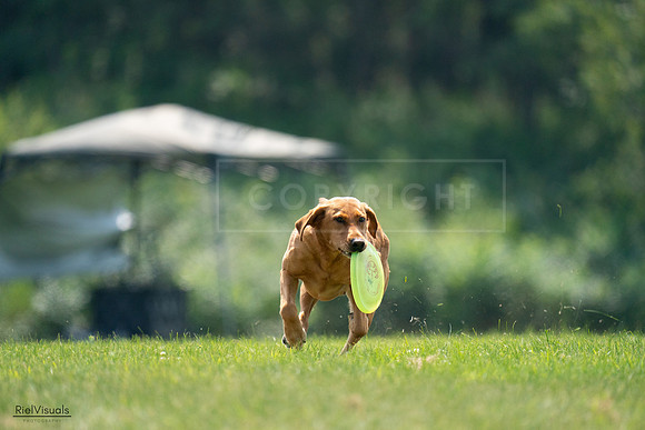 RielVisuals_20240727_122424_SJR05488