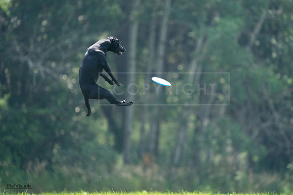 RielVisuals_20240727_122731_SJR05597