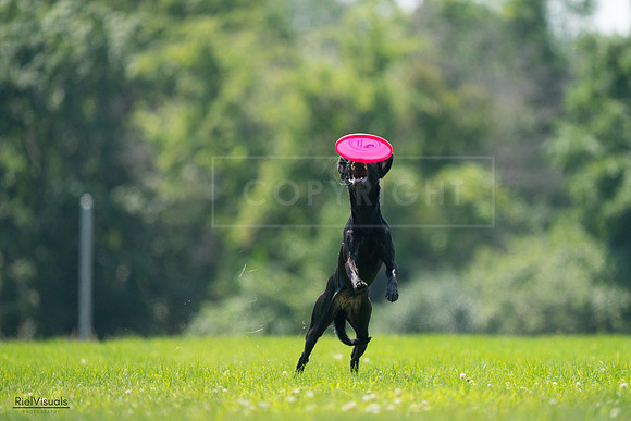RielVisuals_20240727_131016_SJR07056