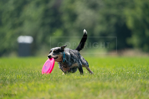 RielVisuals_20240727_120228_SJR04559