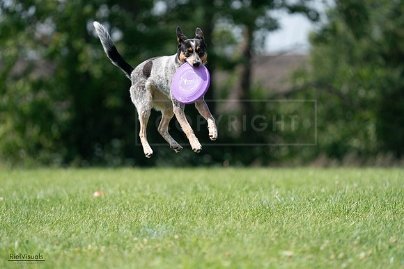 RielVisuals_20240728_143526_SJR08645