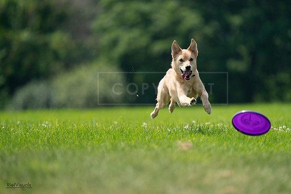 RielVisuals_20240727_120046_SJR04508