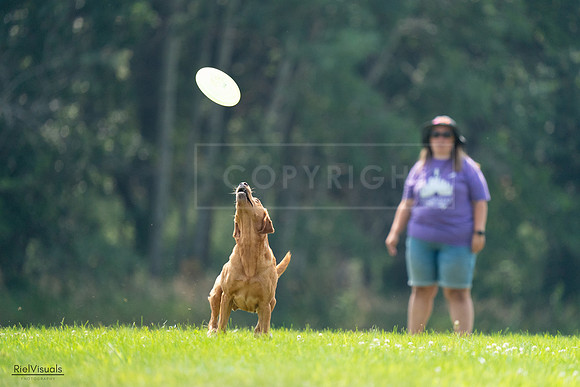 RielVisuals_20240727_122346_SJR05415