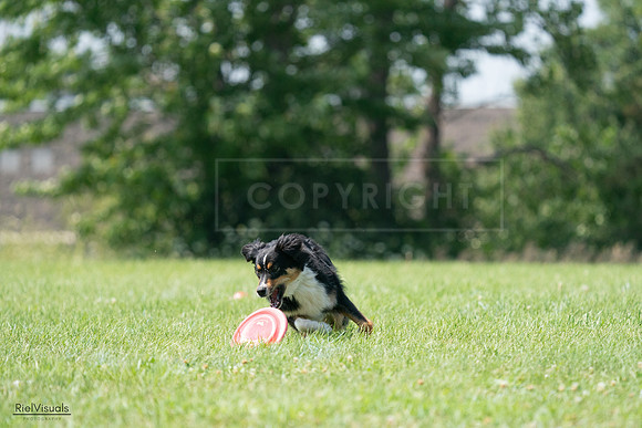 RielVisuals_20240728_143236_SJR08495