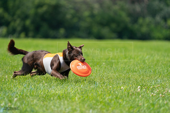 RielVisuals_20240728_114121_SJR01606