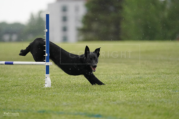 RielVisuals_20240526_092333_SJR09888