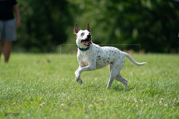 RielVisuals_20240728_144208_SJR08931