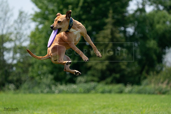 RielVisuals_20240728_131409_SJR05518
